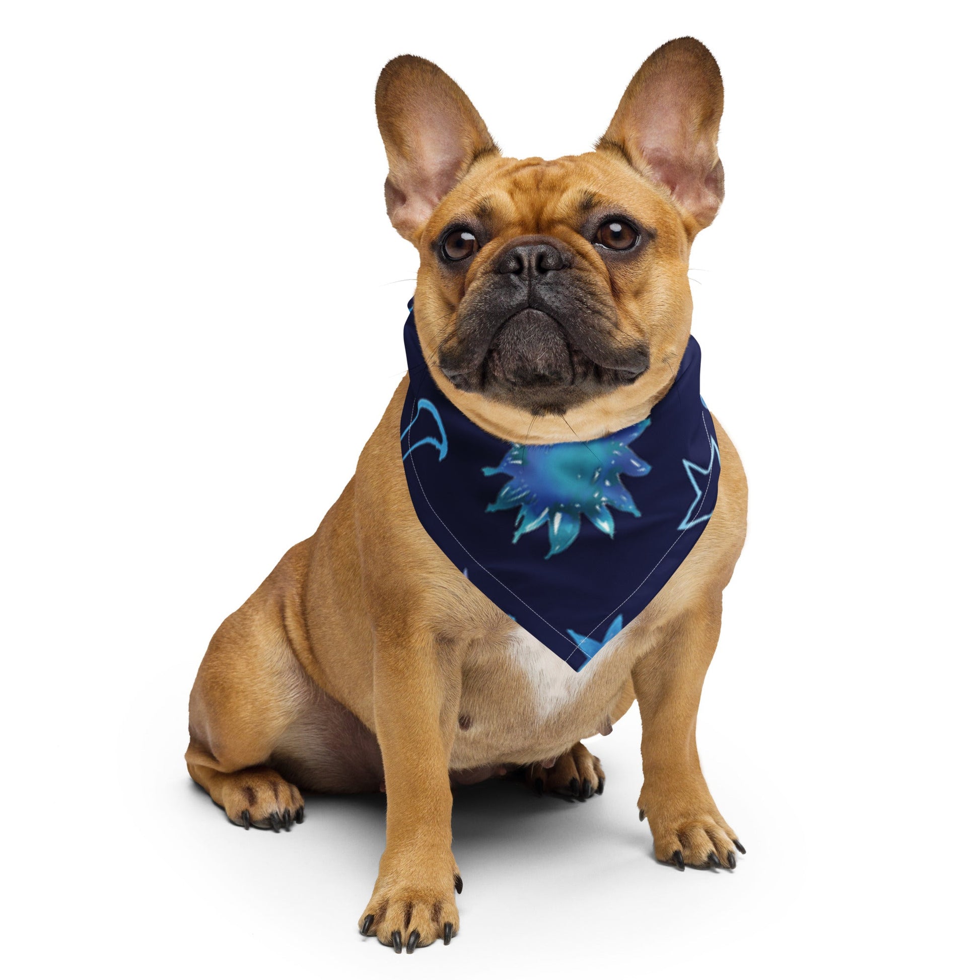 Anacotte All-over print Star bandana-2