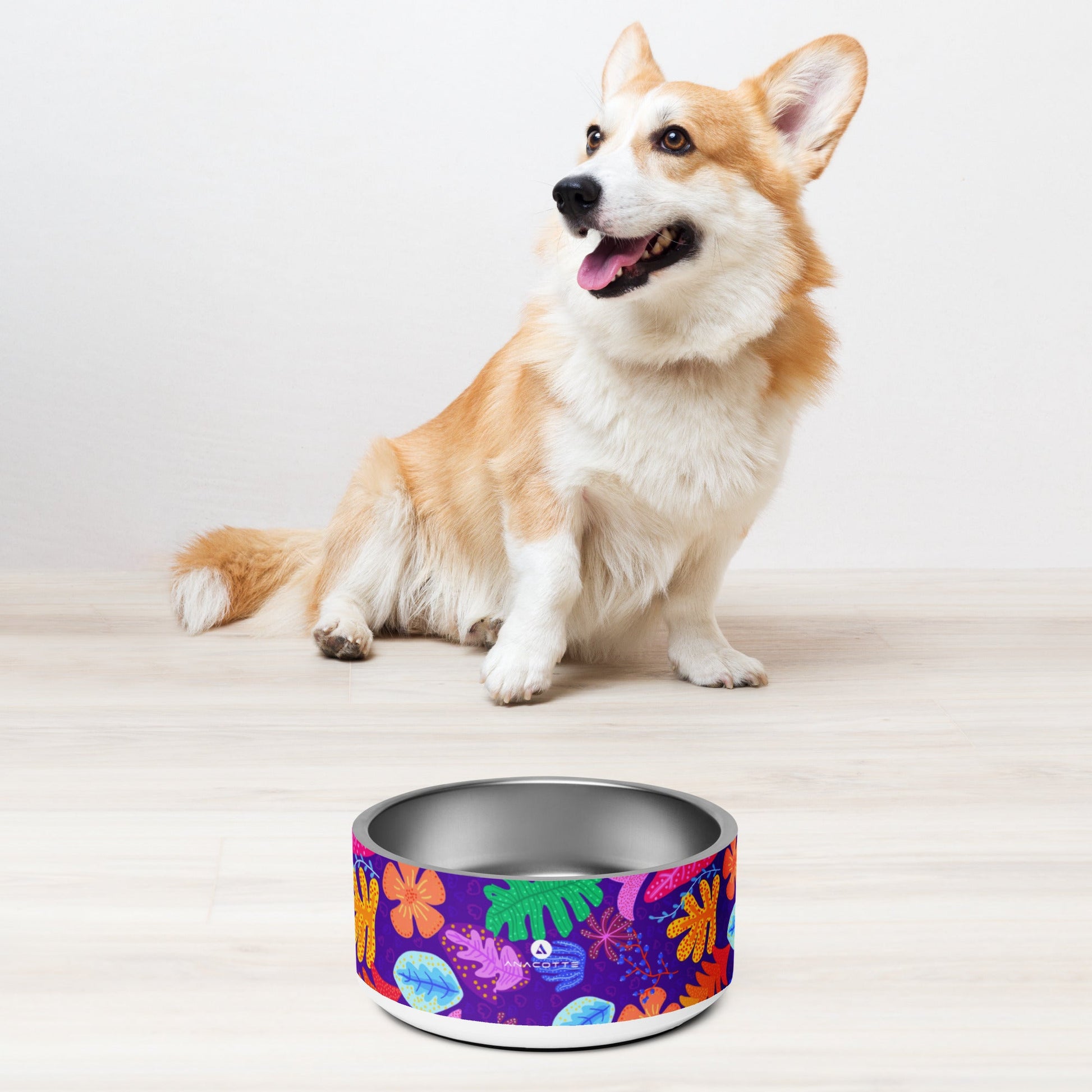 Anacotte Pet Bowl: Made with BPA-Free, Food-Grade Stainless Steel-2