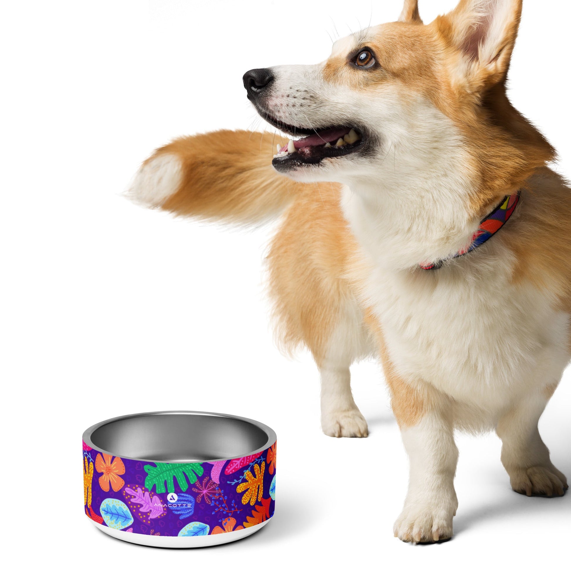 Anacotte Pet Bowl: Made with BPA-Free, Food-Grade Stainless Steel-4