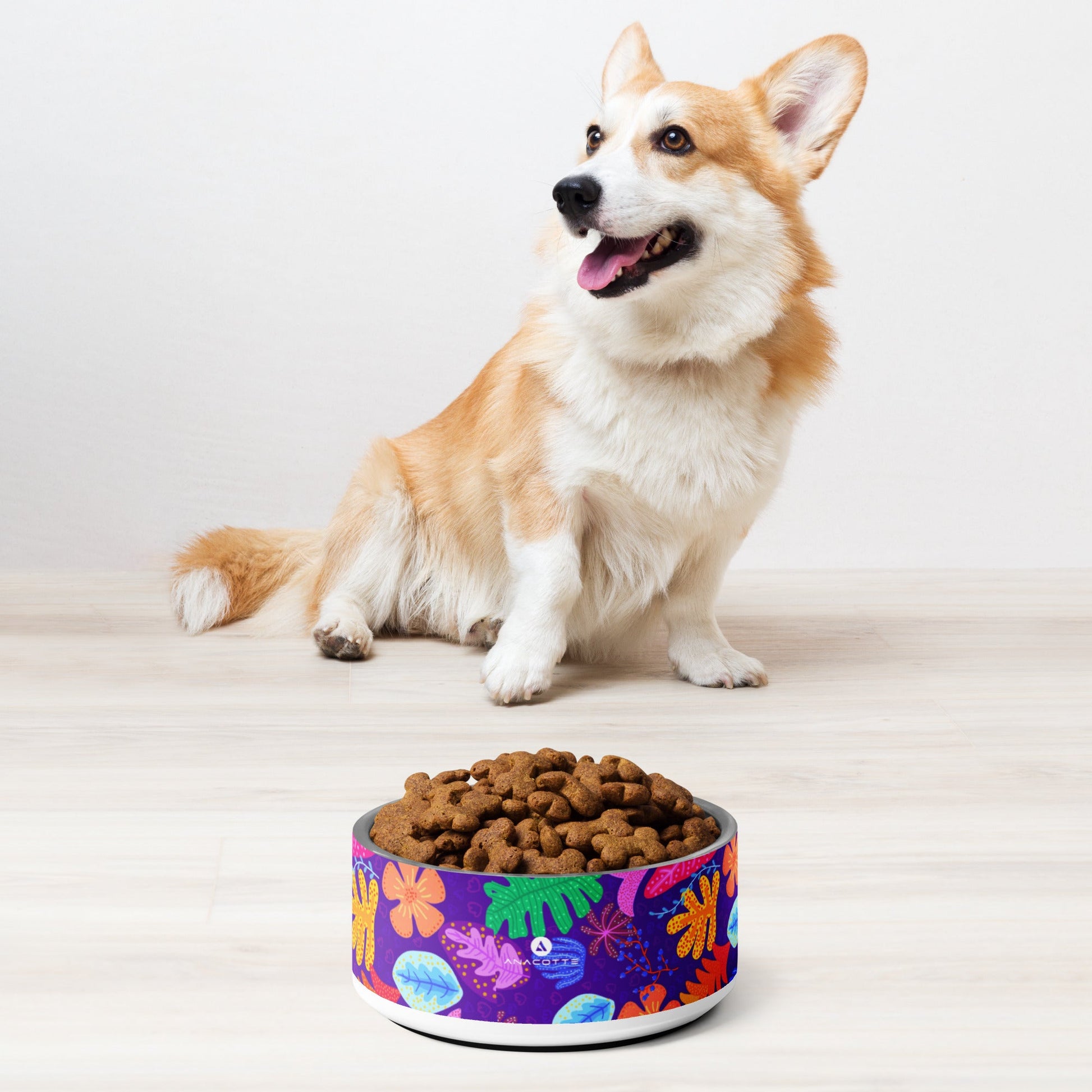Anacotte Pet Bowl: Made with BPA-Free, Food-Grade Stainless Steel-3